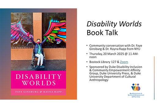 Cover image of Disability Worlds book